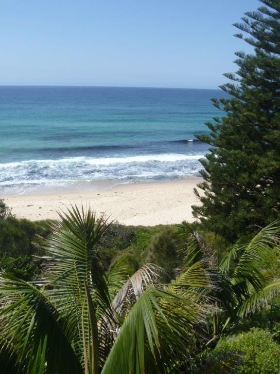 Manyana South Coast Image -56b01e67214ba